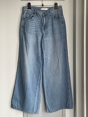 HIDDEN Nori Wide-Leg Light Blue Jeans - W14”